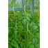Kép 3/6 - 180 cm x D6